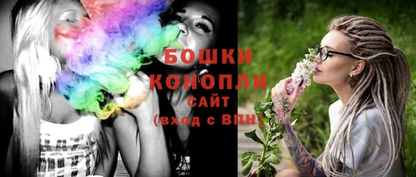 ALPHA PVP Инсар