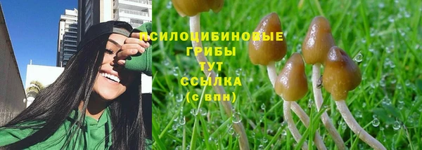 ALPHA PVP Инсар