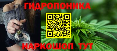 ГАЛЛЮЦИНОГЕННЫЕ ГРИБЫ Малгобек