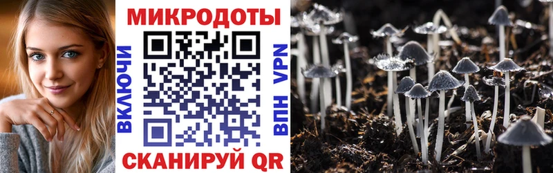 цены darknet наркотические препараты Галлюциногенные грибы прущие грибы Кимовск